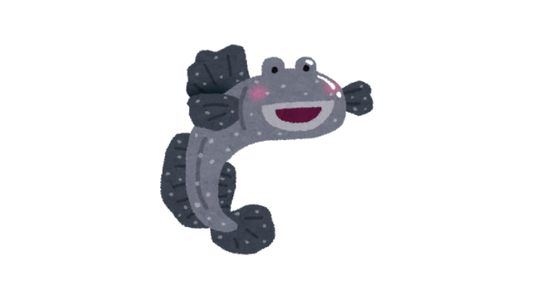 No.537【ムツゴロウってどんな生き物？】